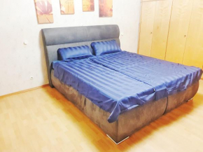 Big Central Apartment